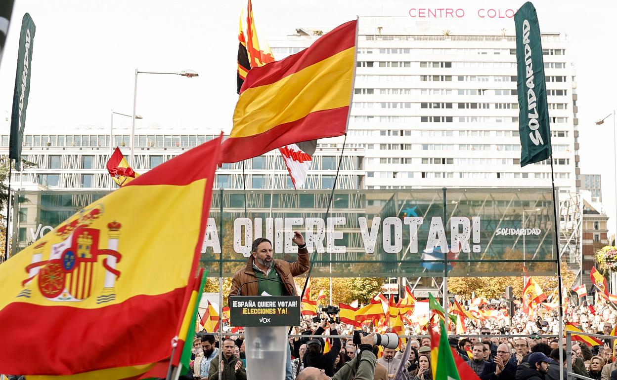 El líder de VOX, Santiago Abascal, interviene en la concentración convocada por la formación este domingo en la Plaza de Colón de Madrid.