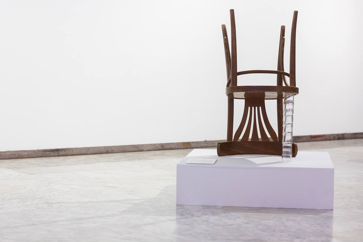 Fotos: Talento joven y lenguajes punteros del arte