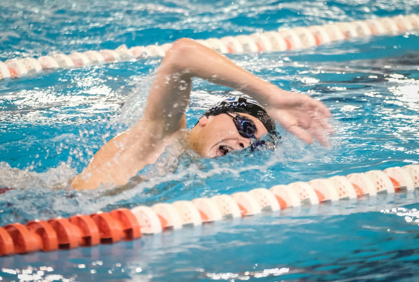 Fotos: El campeonato de natación de La Rioja, en imágenes