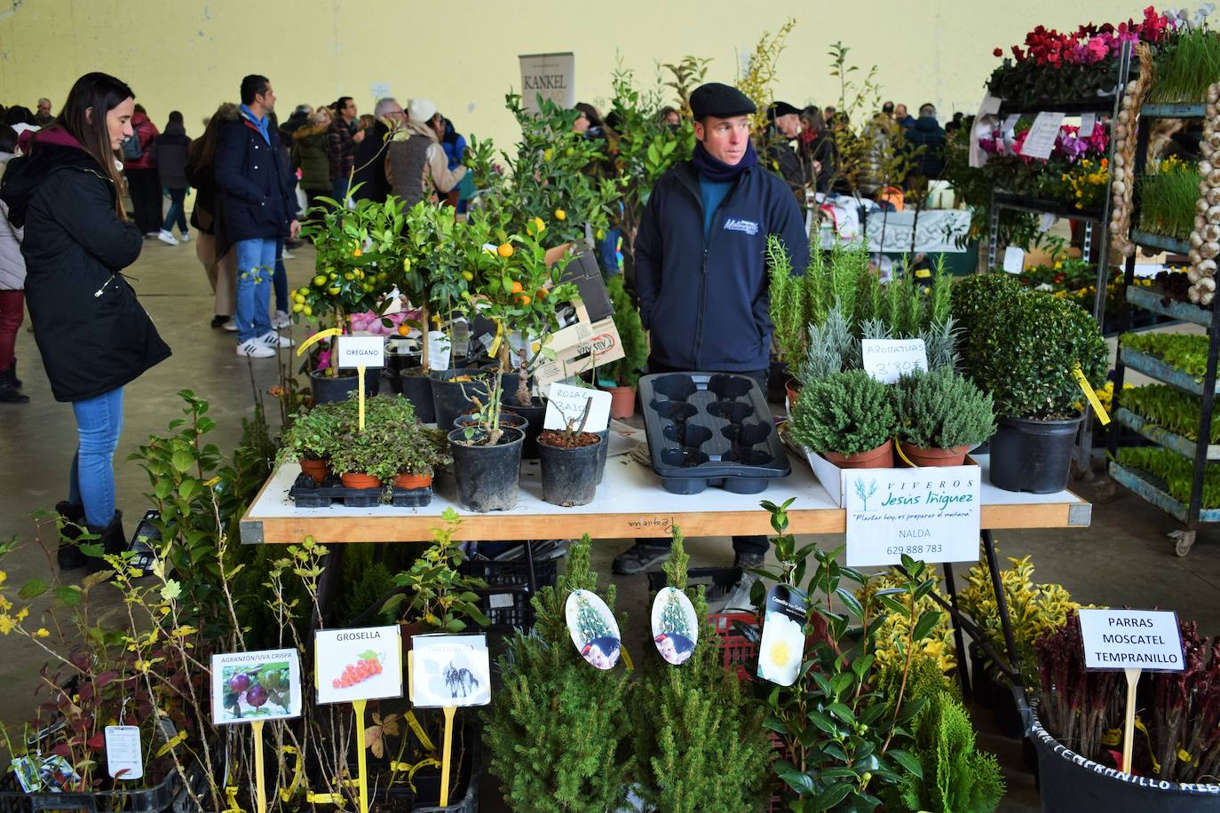 Fotos: Jornada de mercado y visitas al belén, en Sorzano