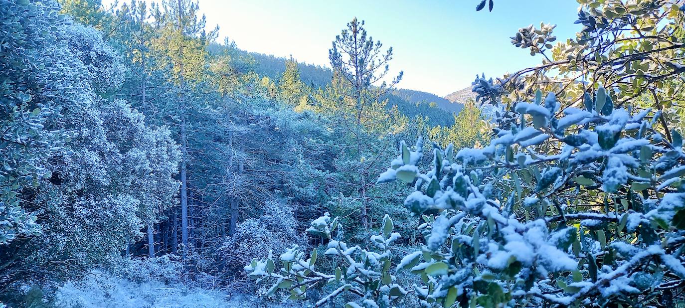 Fotos: Las estampas que dejan el frío y la nieve en La Rioja