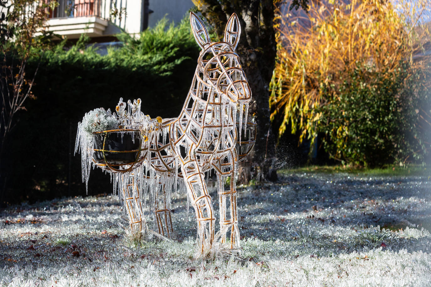 Fotos: Las estampas que dejan el frío y la nieve en La Rioja