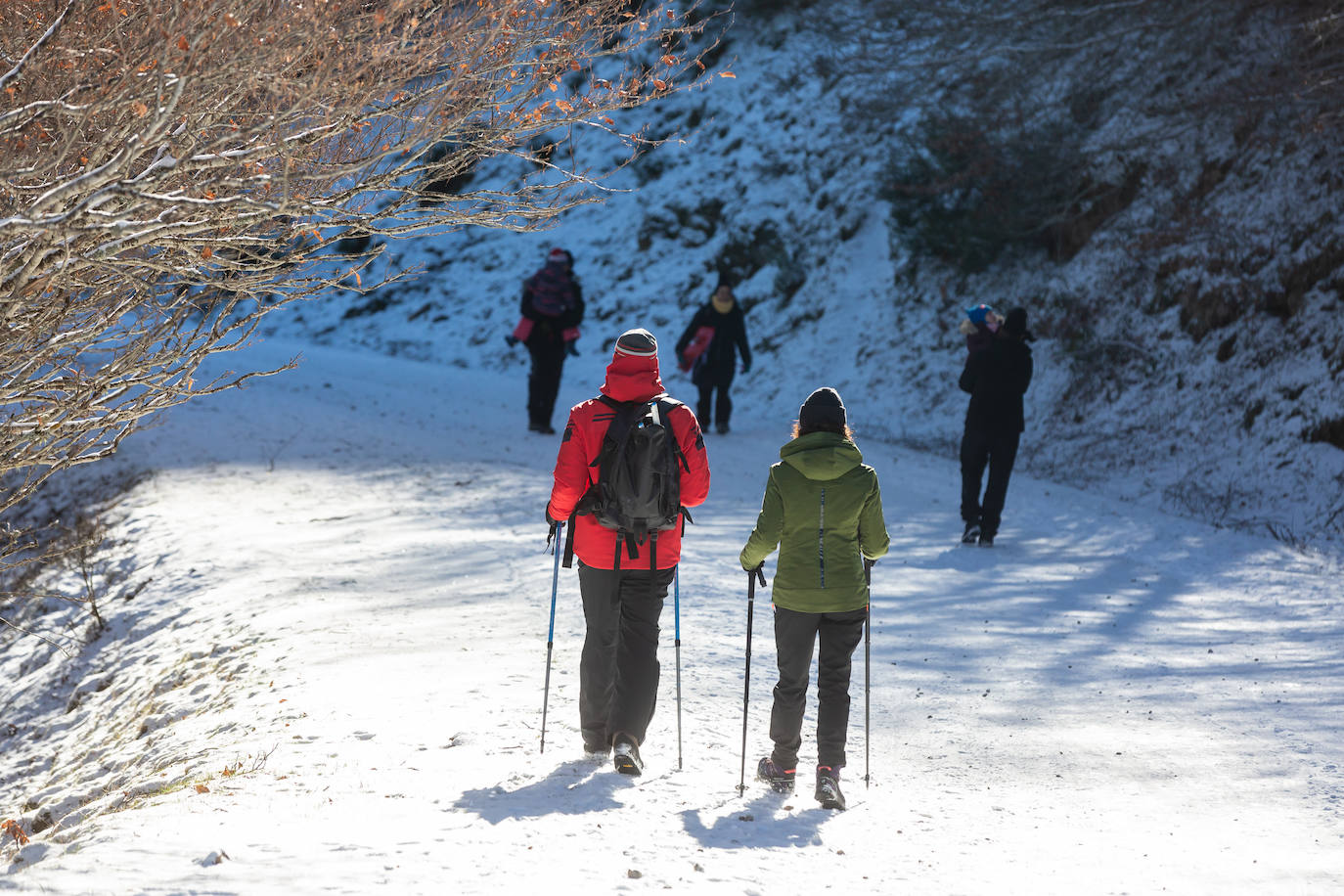 Fotos: Las estampas que dejan el frío y la nieve en La Rioja