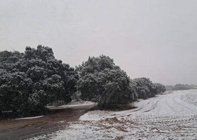 Imagen secundaria 1 - Imágenes de ayer en Villarroya 