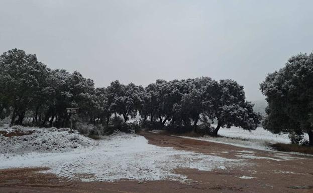 Imagen principal - Imágenes de ayer en Villarroya 