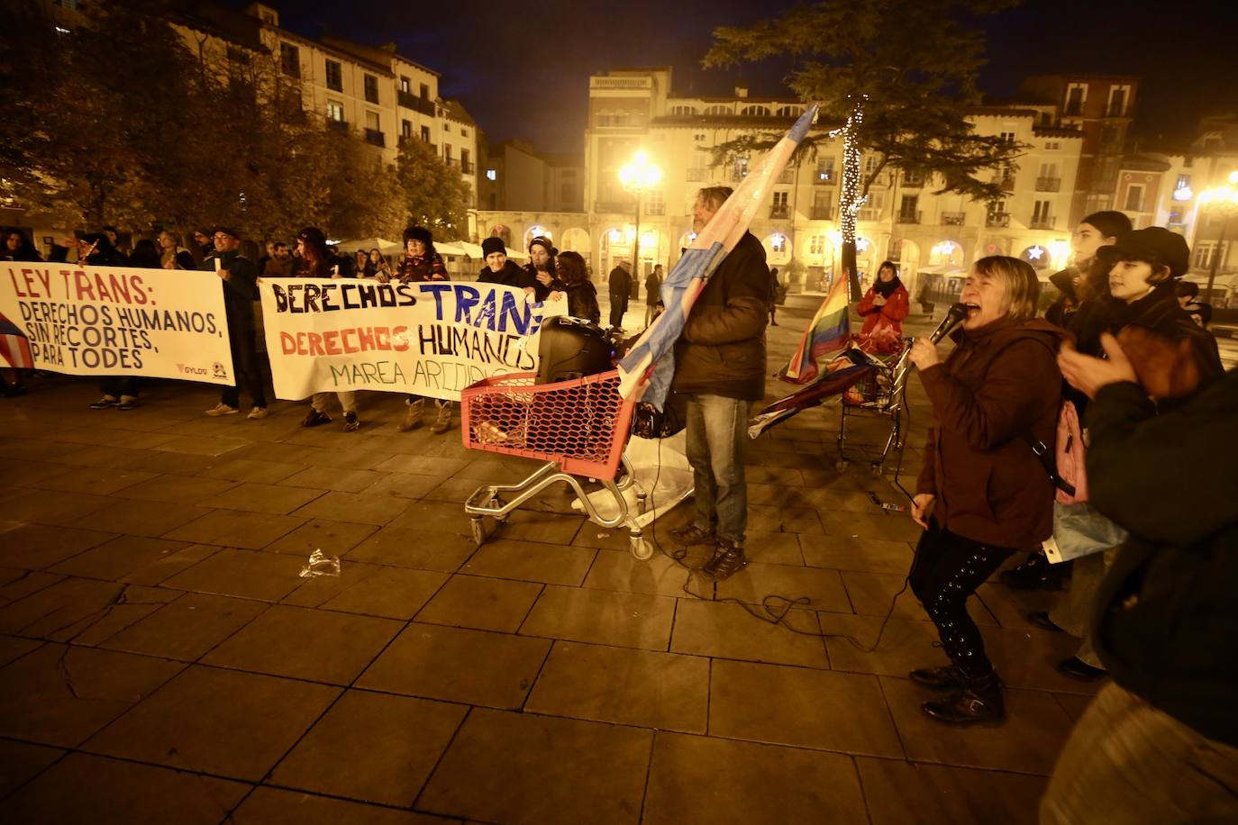 Fotos: Gylda y Marea Arcoíris reclaman con una protesta en Logroño una ley trans «sin recortes»