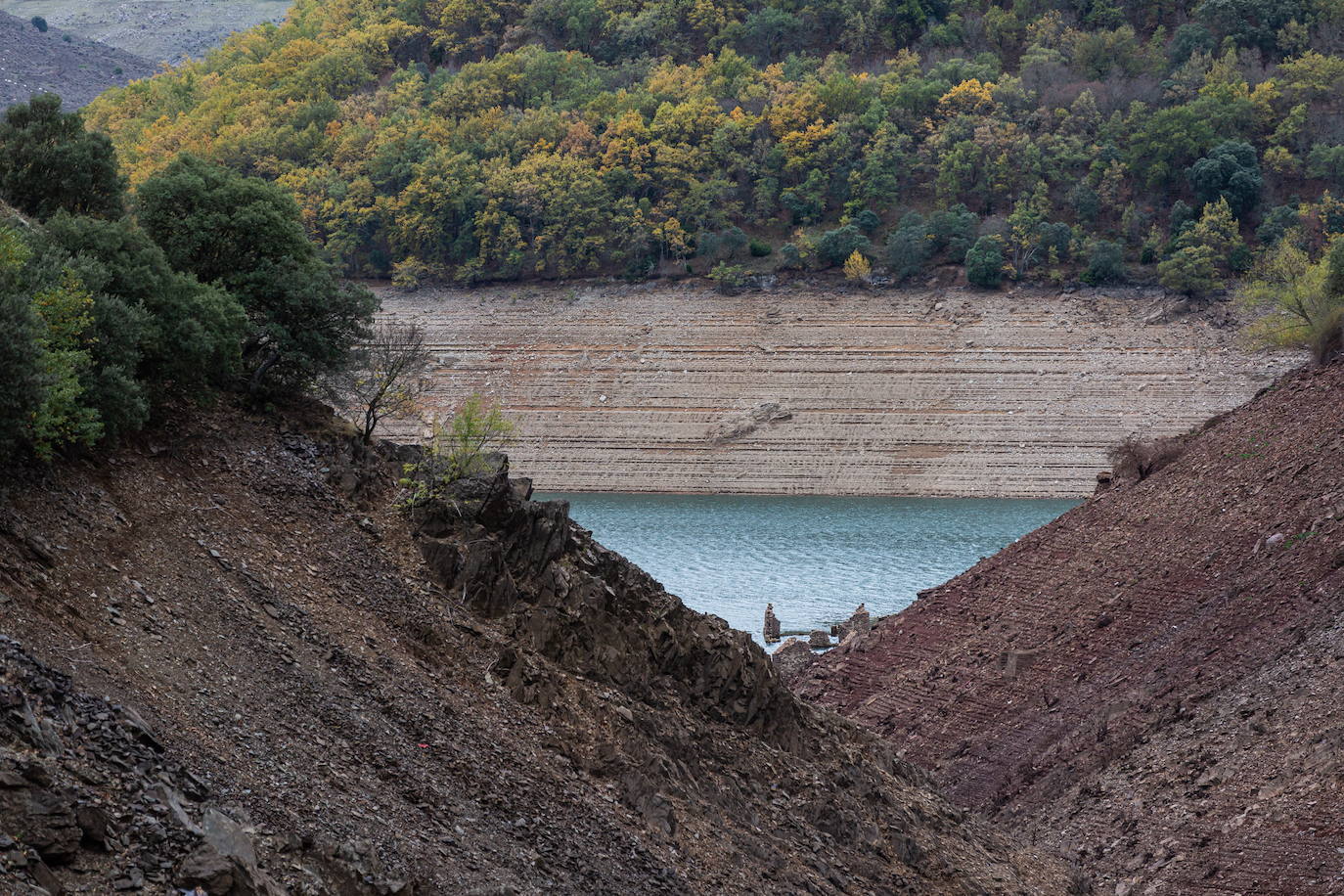 Imagen de archivo de Mansilla. 