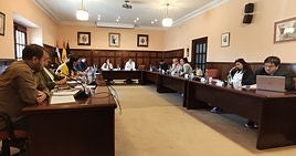 Pleno celebrado en la mañana de ayer a solicitud del grupo municipal socialista.