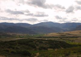 Los montes de Anguiano serán una de las zonas de trabajo.