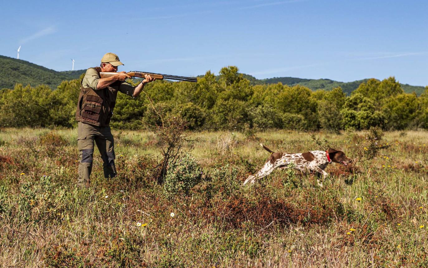 Un cazador y su perro, en un coto riojano.