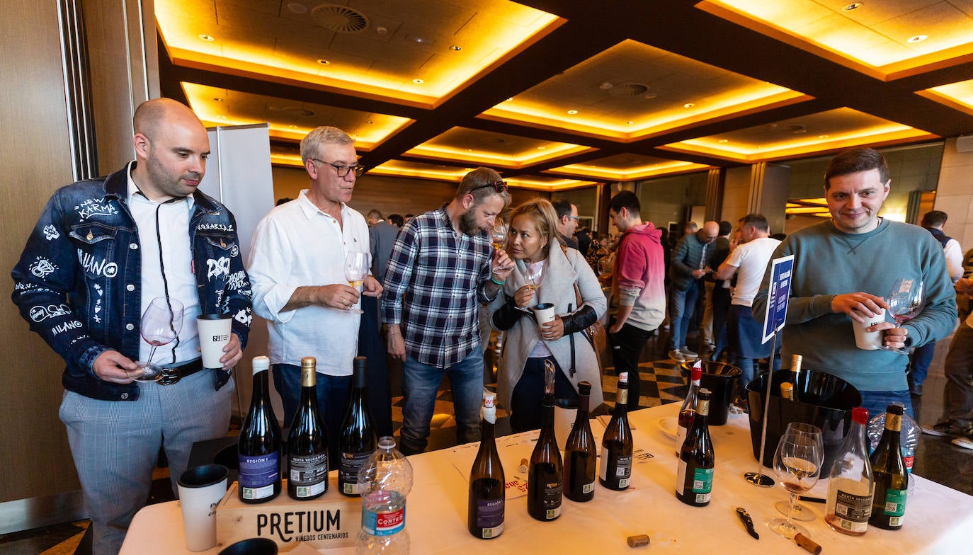 La añada 2022 de 50 bodegas familiares