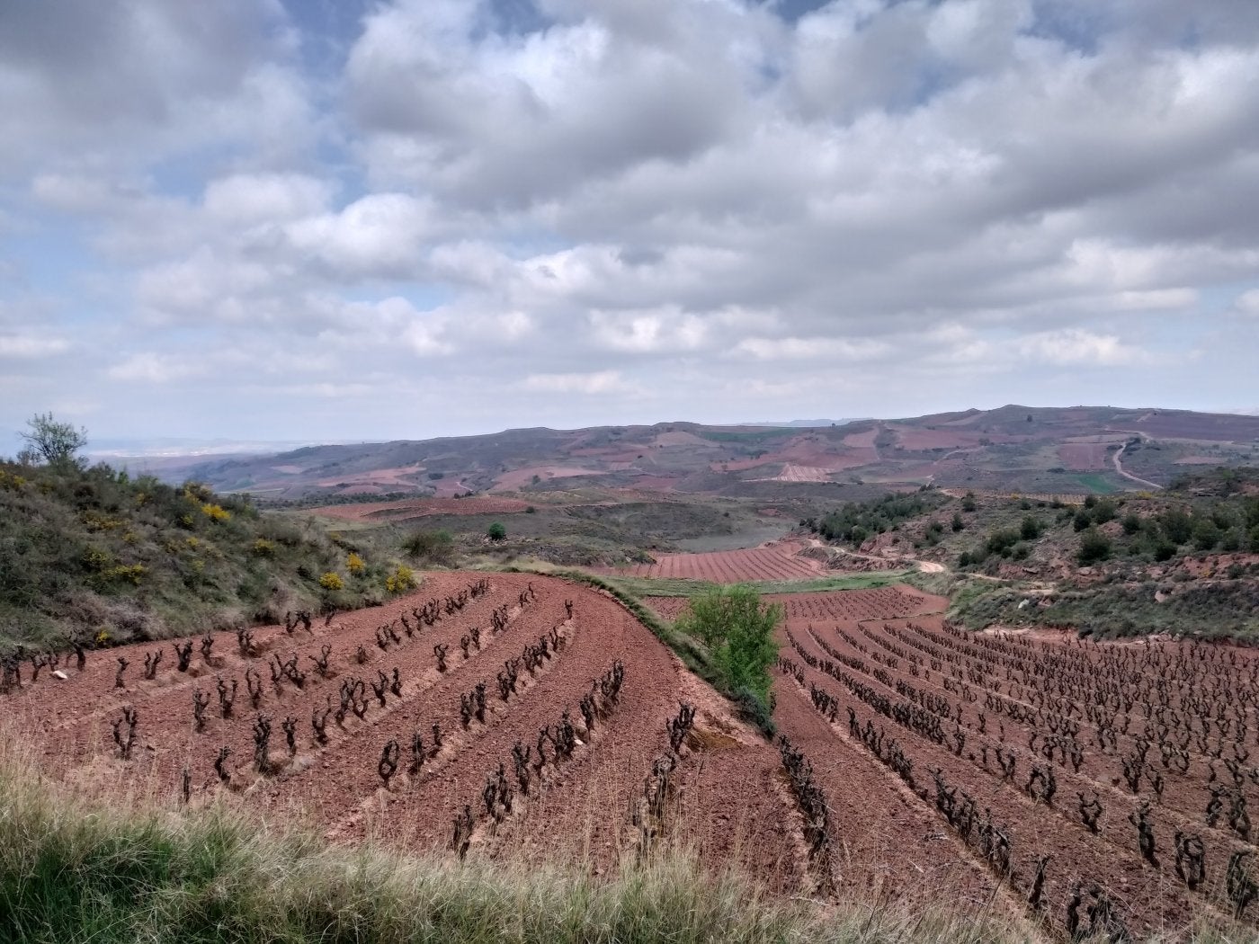 Entorno de uno de los tramos, en el camino a Cárdenas y Badarán.