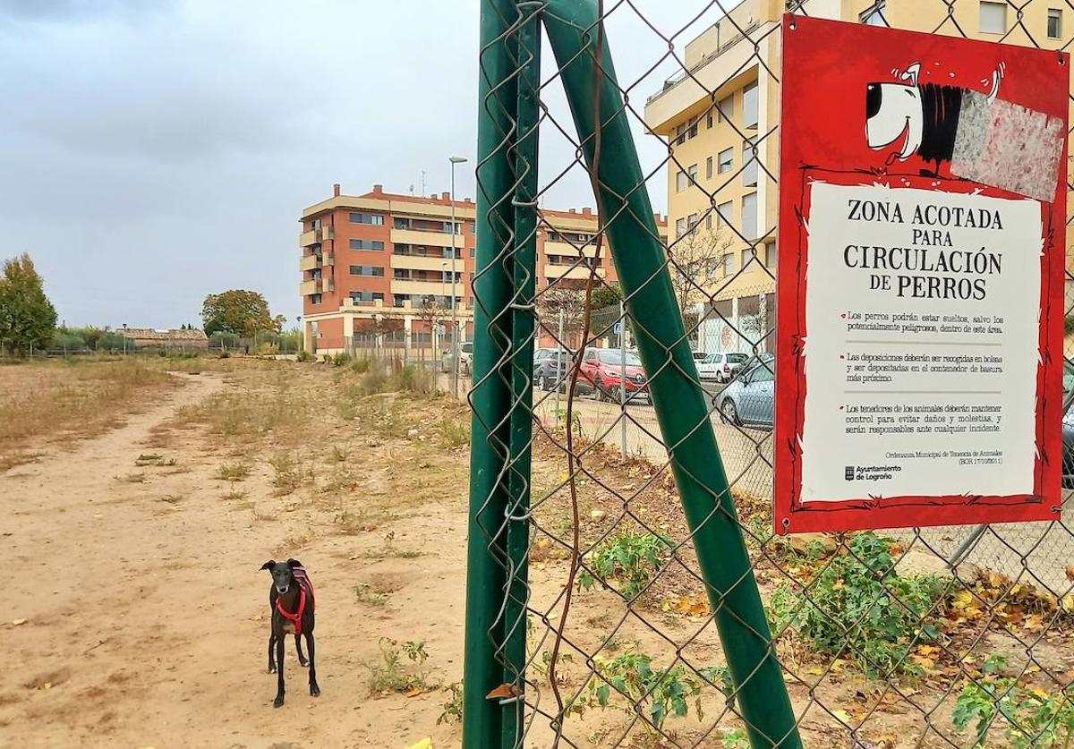 Un perro en la zona de esparcimiento canino de Los Lirios, en Logroño.