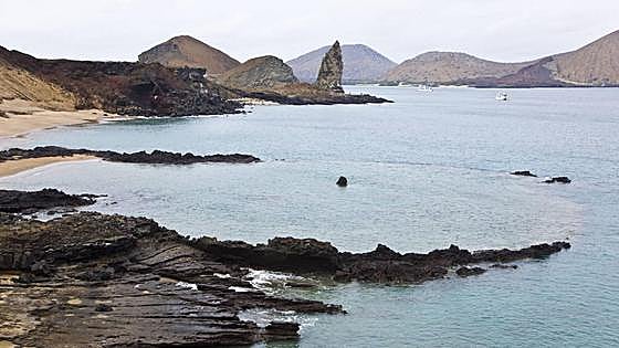 Hallan un nuevo arrecife de coral en las Galápagos