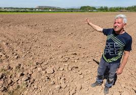 José Eguren, en una plantación lleca de Varea que no ha podido sembrar por la sequía.