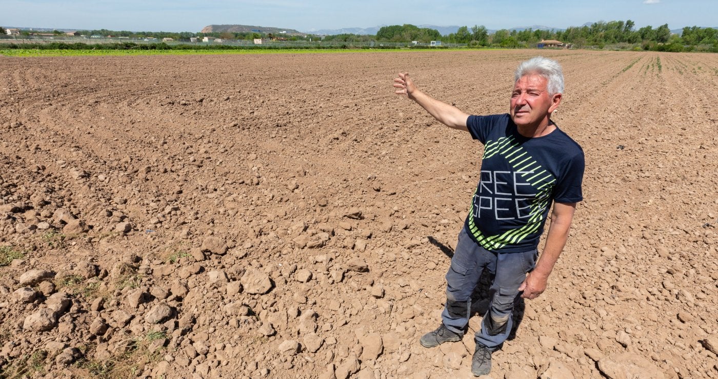 José Eguren, en una plantación lleca de Varea que no ha podido sembrar por la sequía.