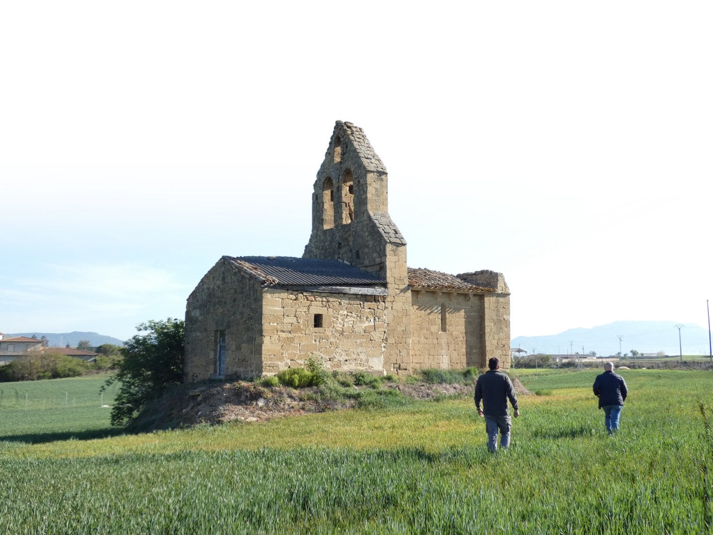 Vista de la ermita de San Román de Ajuarte, en la parcela de cereal.