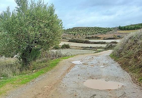 Camino de Valdecarros, en Villamdiana, el pasado invierno.