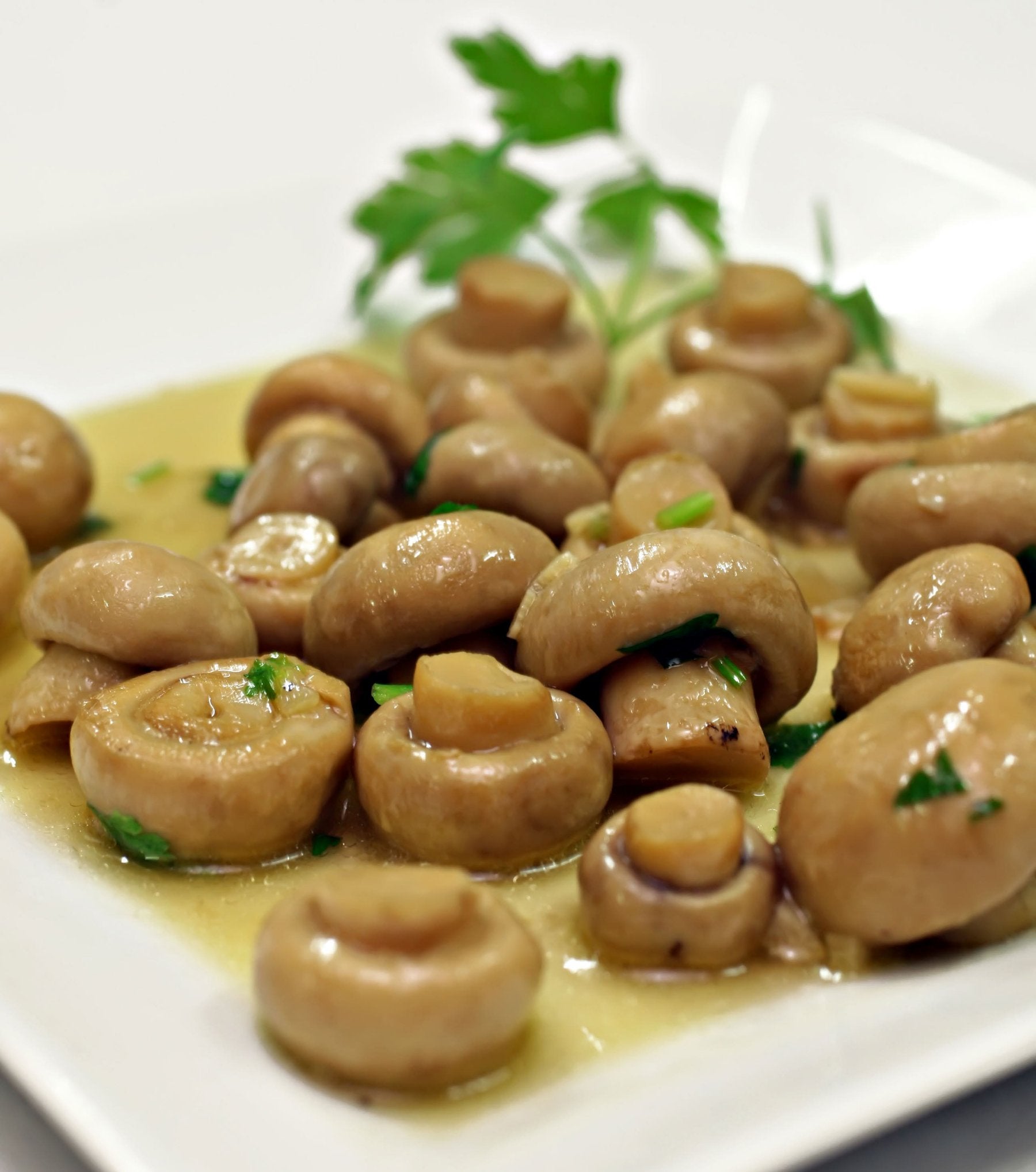 Pradejón, diez años de Fungitur