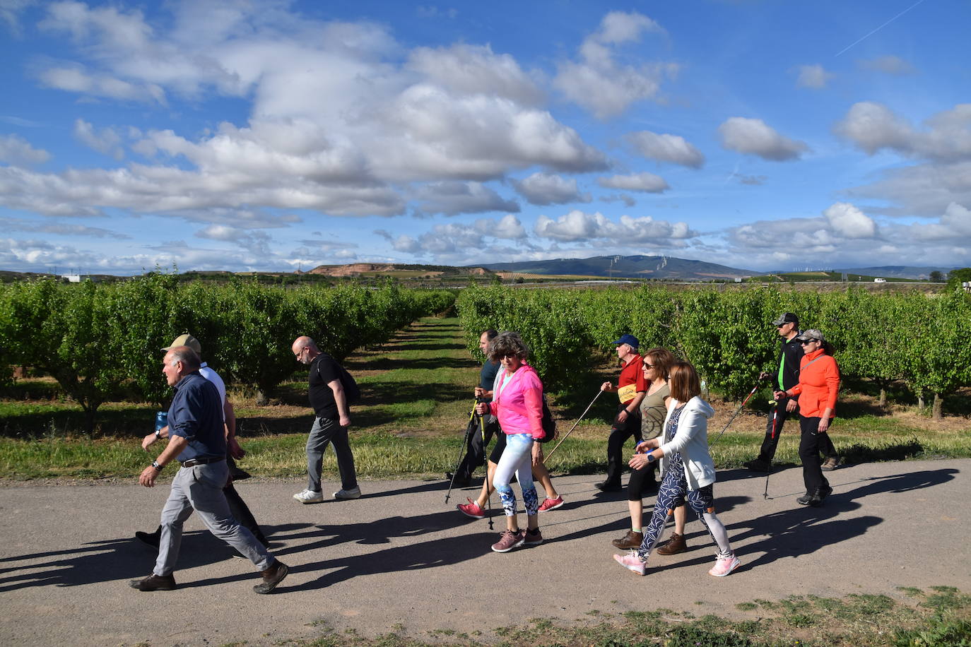 Marcha &#039;Entre sotos&#039; en Rincón de Soto