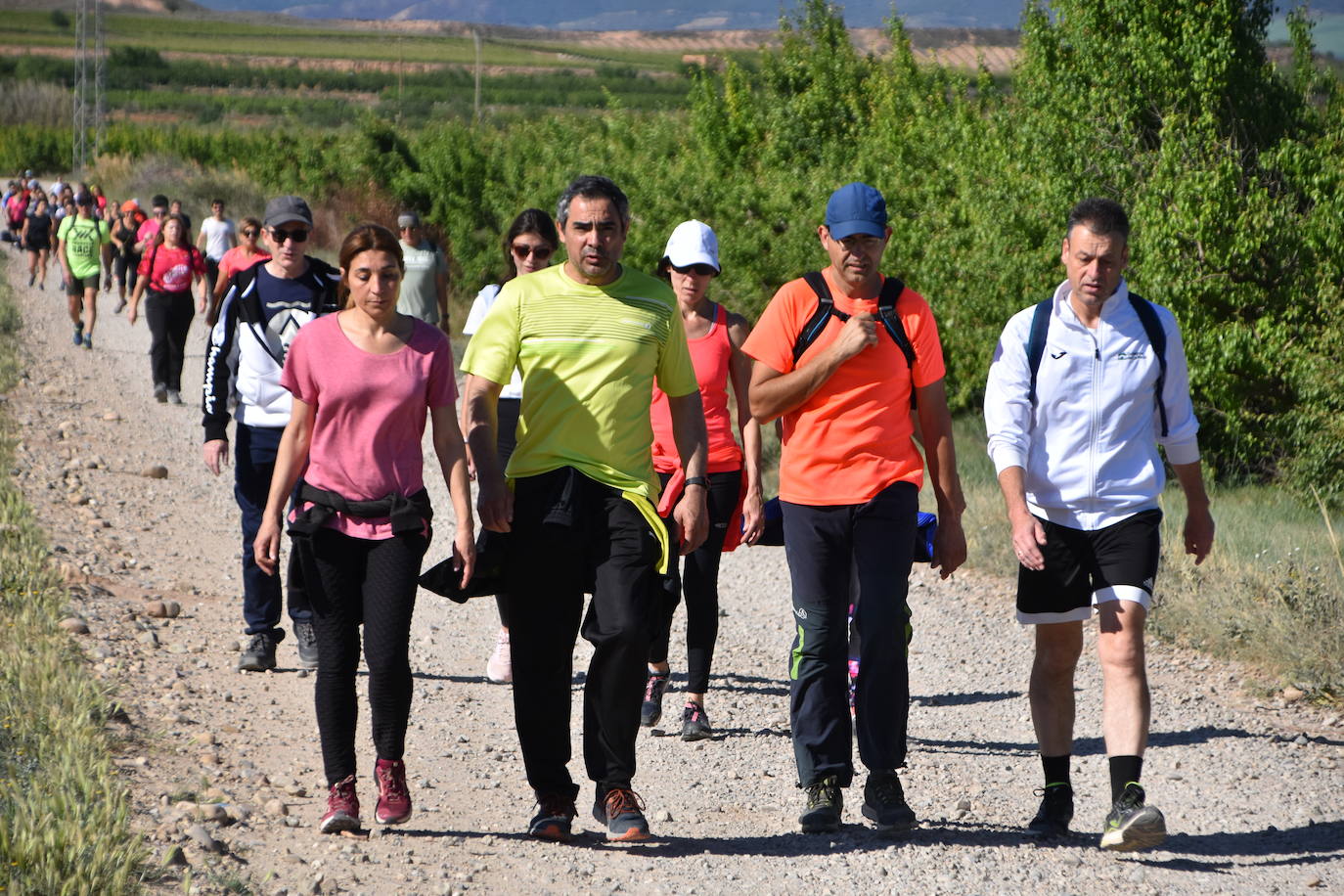 Marcha &#039;Entre sotos&#039; en Rincón de Soto