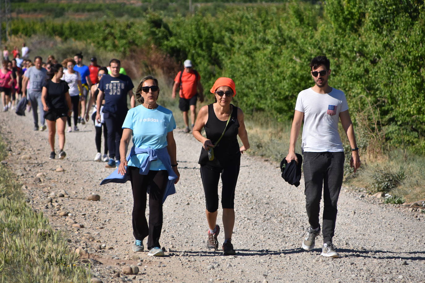 Marcha &#039;Entre sotos&#039; en Rincón de Soto