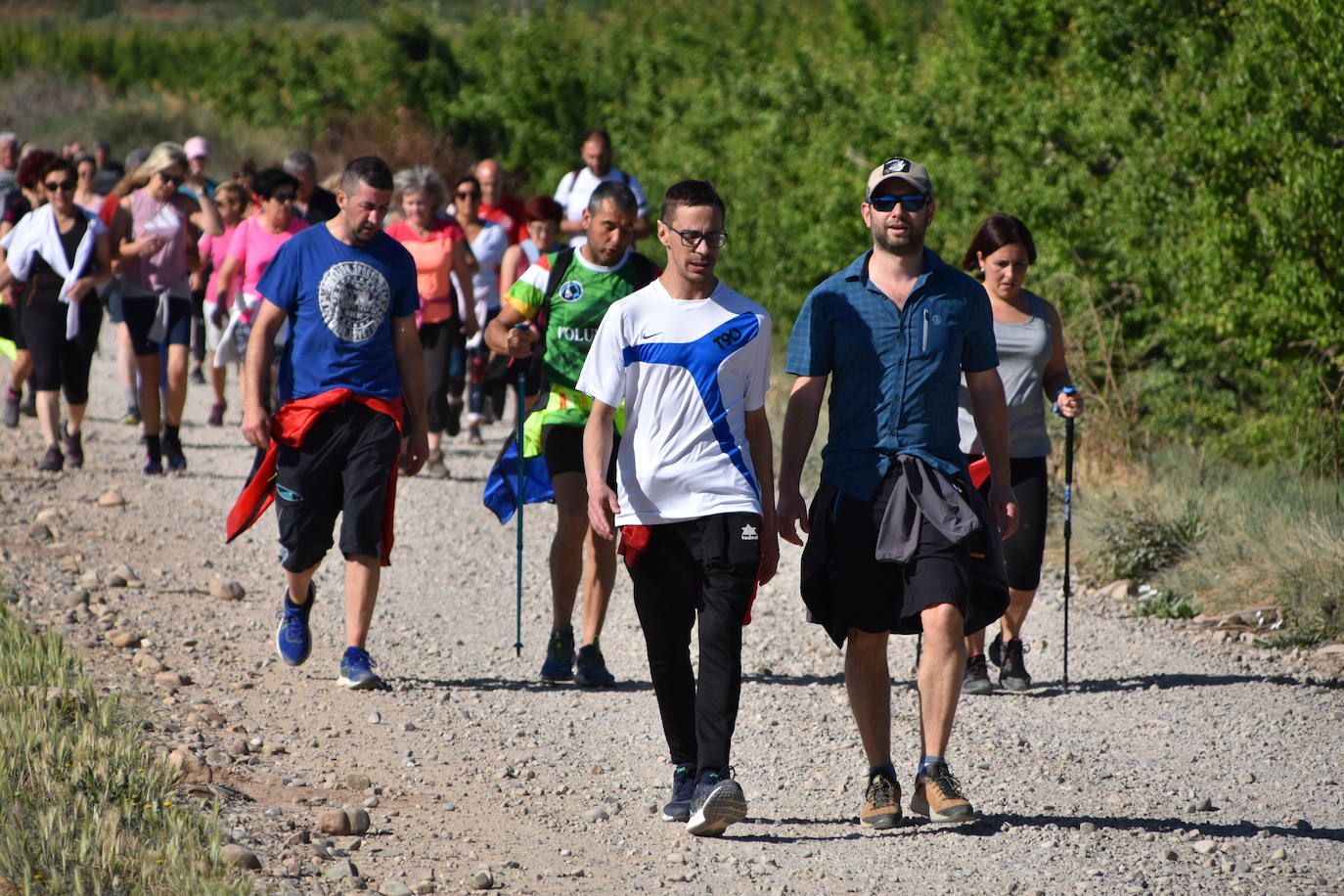 Marcha &#039;Entre sotos&#039; en Rincón de Soto