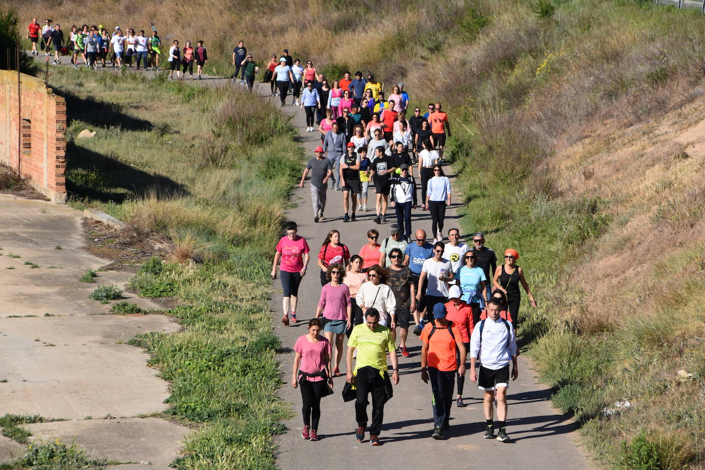 Marcha &#039;Entre sotos&#039; en Rincón de Soto