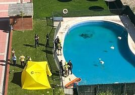 Agentes de Policía, bomberos y sanitarios acceden a la piscina del residencial Lope de Vega de Logroño.