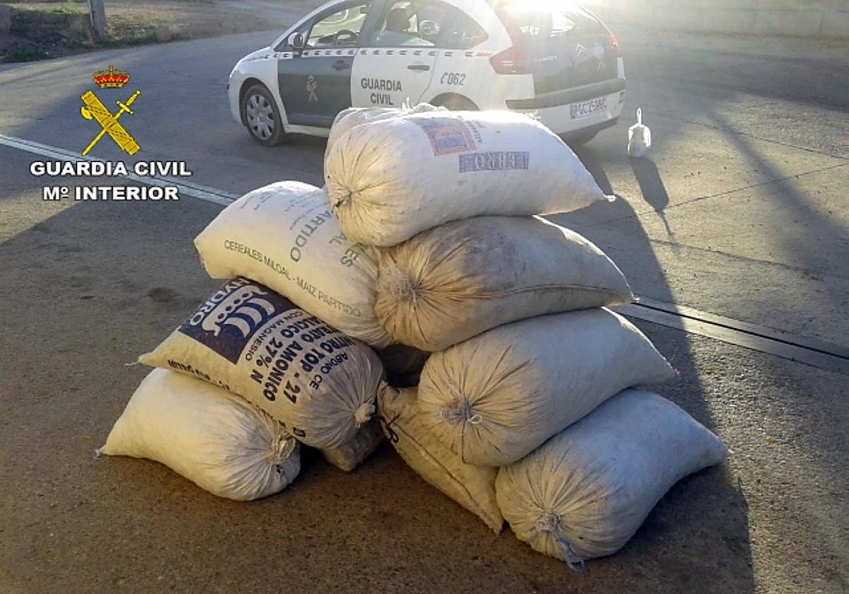 Sacos de almendrucos robados e intervenidos por la Guardia Civil en La Rioja.