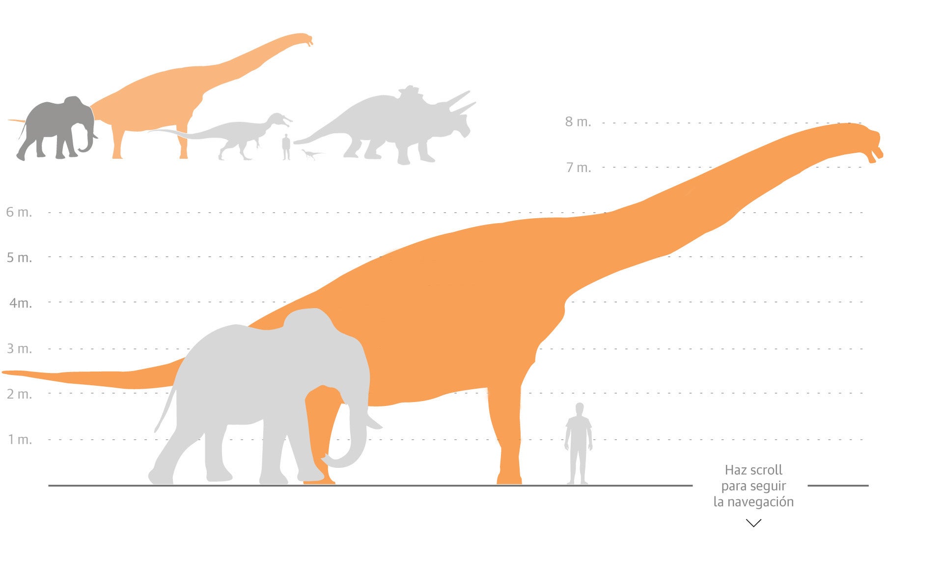 Scroll Story imagen 0