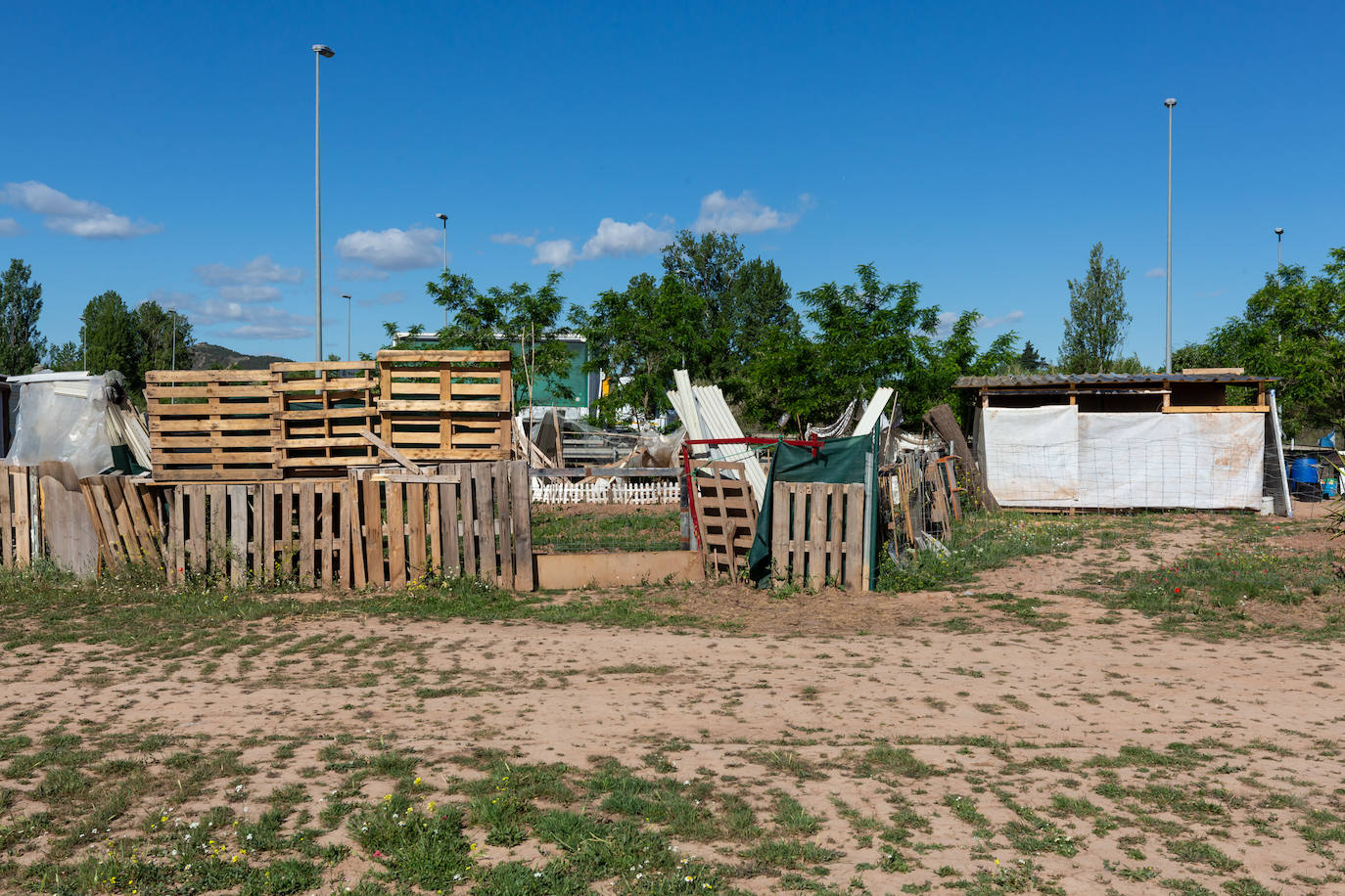 Las huertas sin autorización del Camino Viejo de Lardero