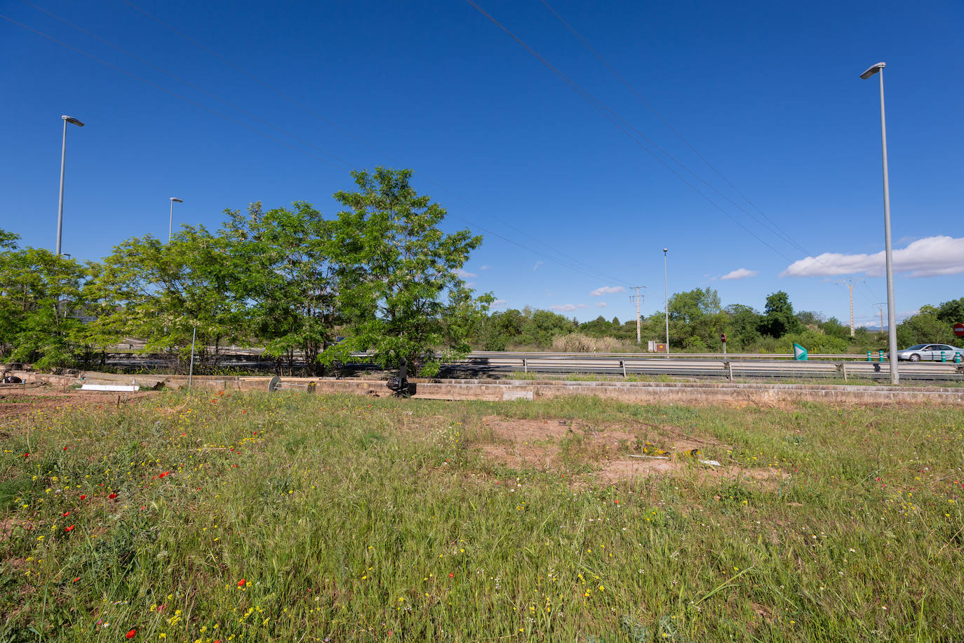 Las huertas sin autorización del Camino Viejo de Lardero