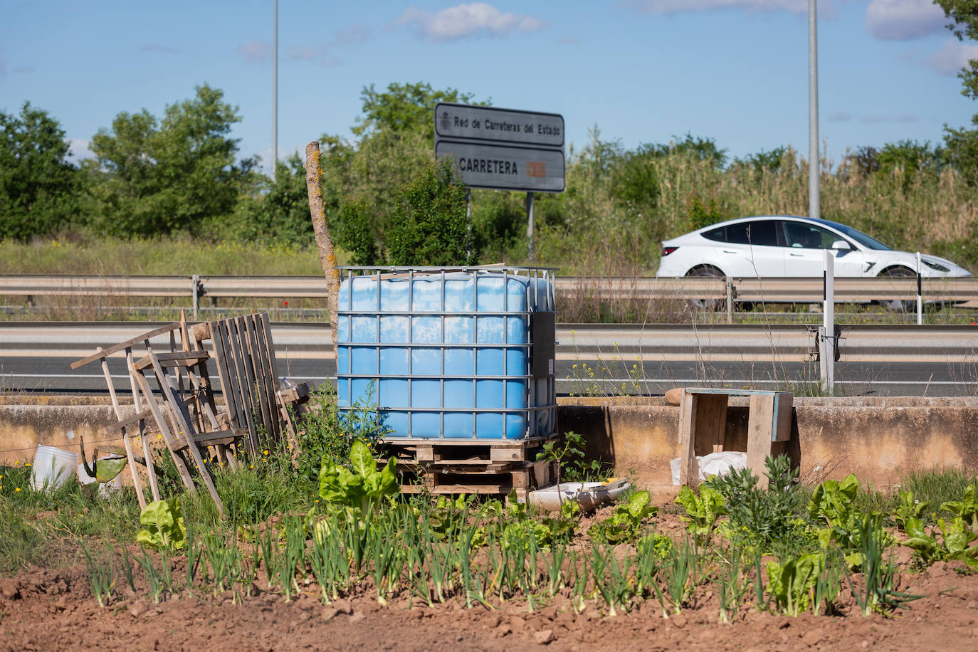 Las huertas sin autorización del Camino Viejo de Lardero