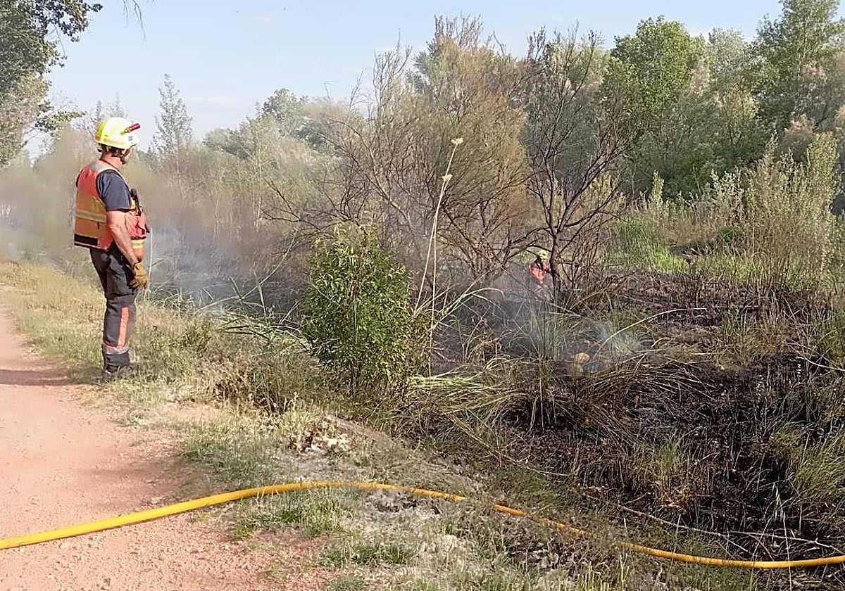 Incendio del domingo junto al cauce del Cidacos, en Calahorra.