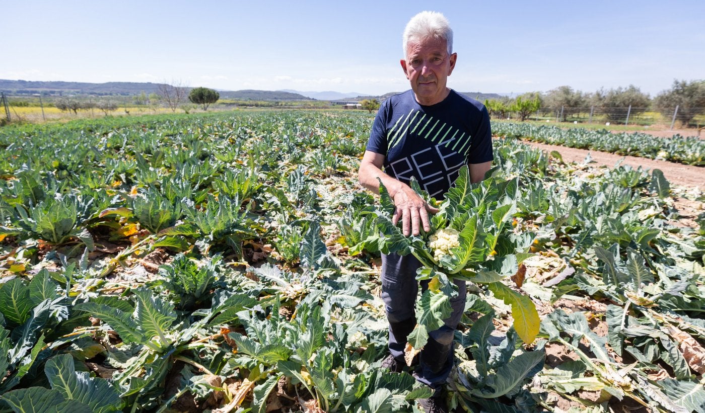 José Eguren, agricultor de Varea, muestra algunas de sus hortalizas dañadas por la sequía.