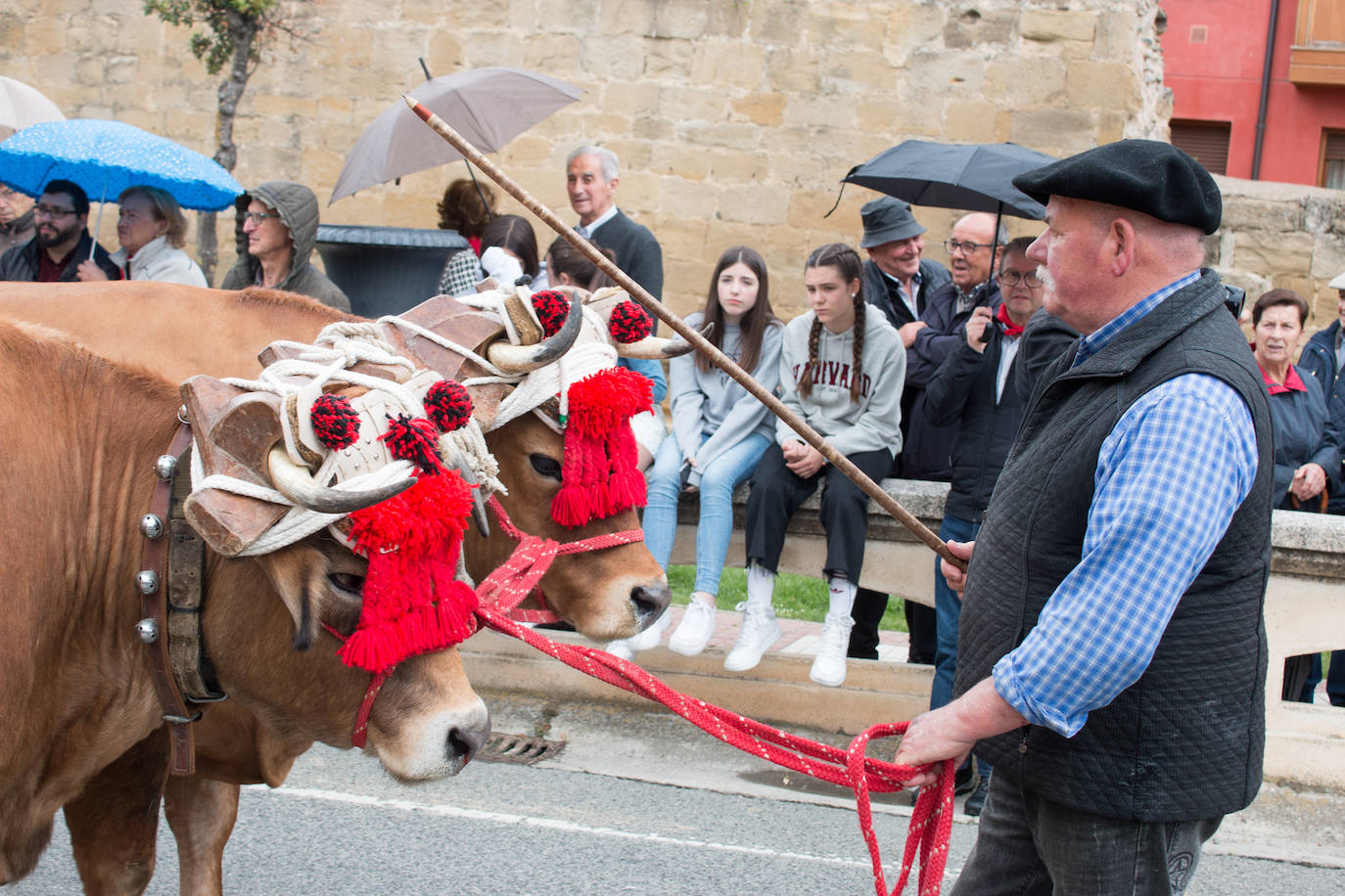 La procesión de las doncellas en Santo Domingo