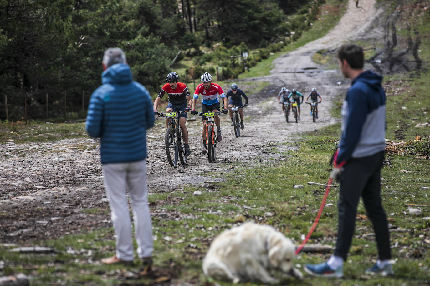Las imágenes de la segunda etapa de La Rioja Bike Race