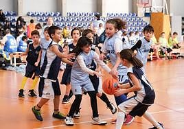 Para la mayoría de los equipos, el minibasket no ha tenido carácter competitivo.