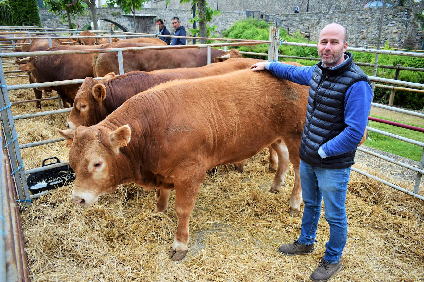 VI Feria del Ganado Selecto del Camero Viejo