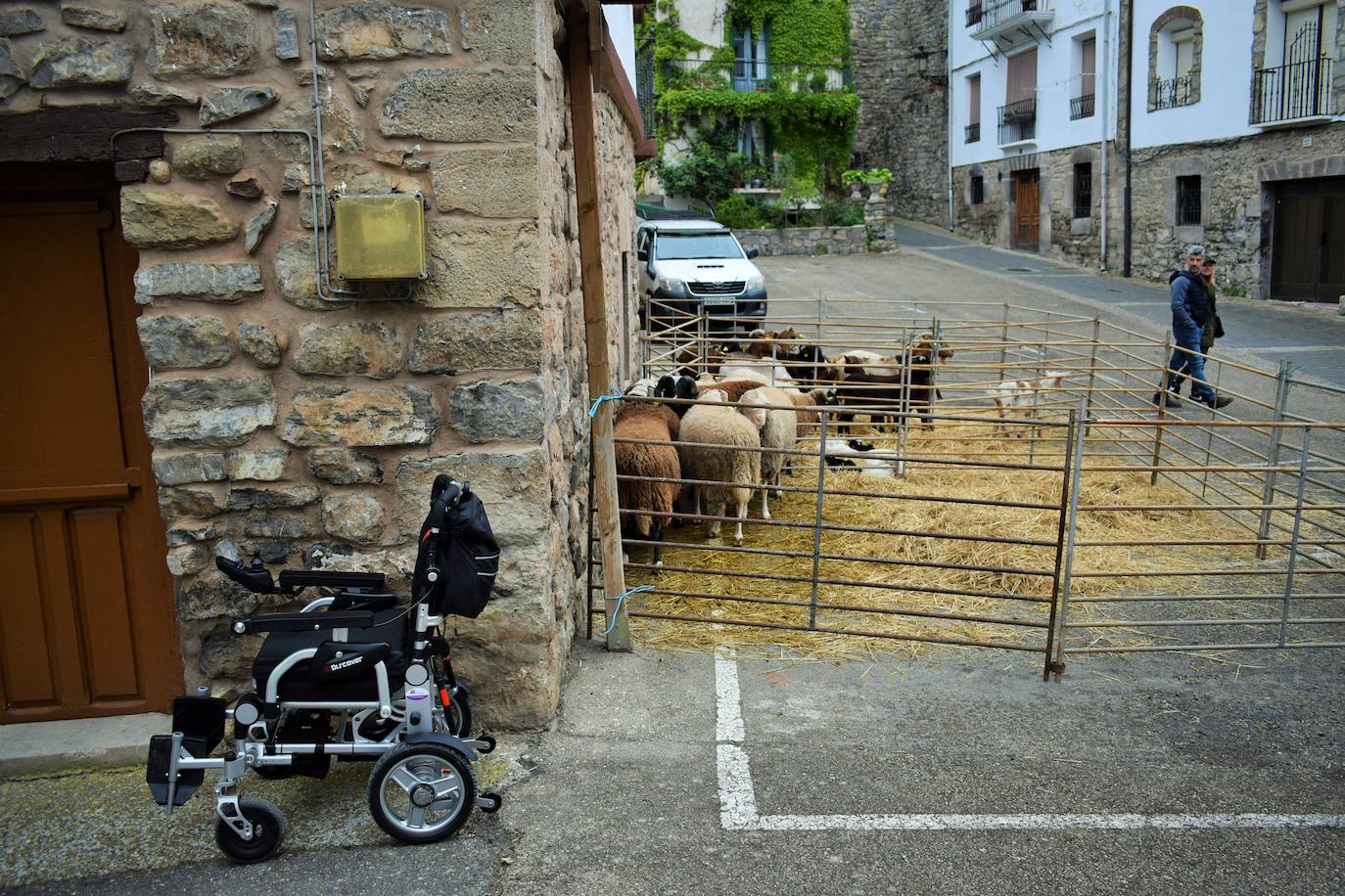 VI Feria del Ganado Selecto del Camero Viejo