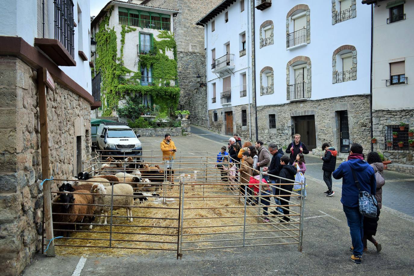 VI Feria del Ganado Selecto del Camero Viejo