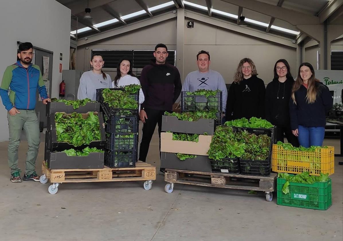 100 kilos de lechugas 'universitarias' para la Cocina Económica