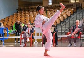 Los últimos combates de taekwondo, el sábado en Lardero