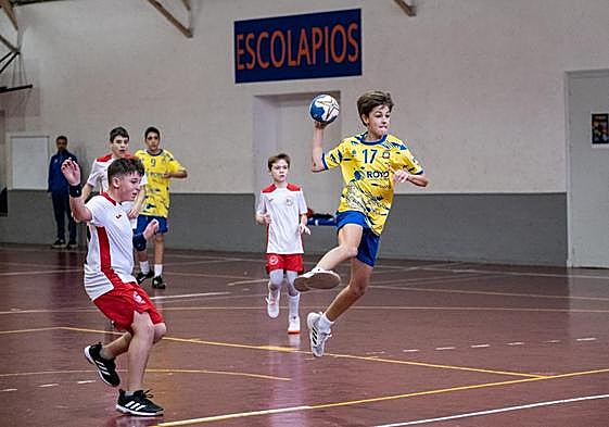 Las gimnastas cierran el año con la final individual
