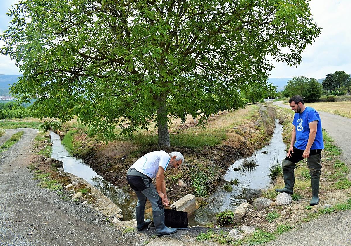 Sergio Ochagavía, agricultor albeldense, observa cómo un regante abre una compuerta en Nalda.