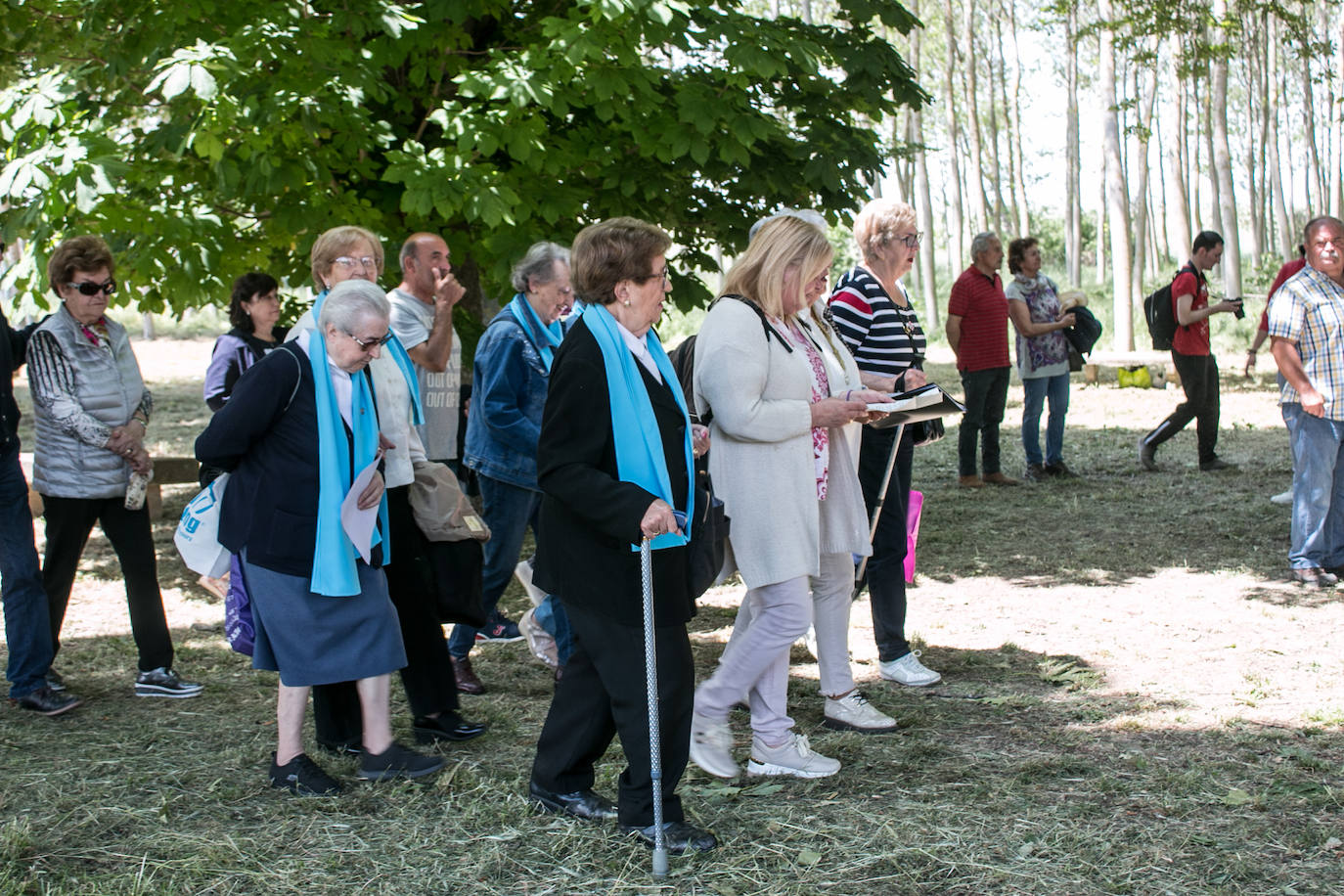 Romería a la ermita de Las Abejas