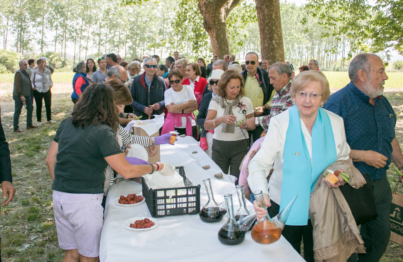 Romería a la ermita de Las Abejas