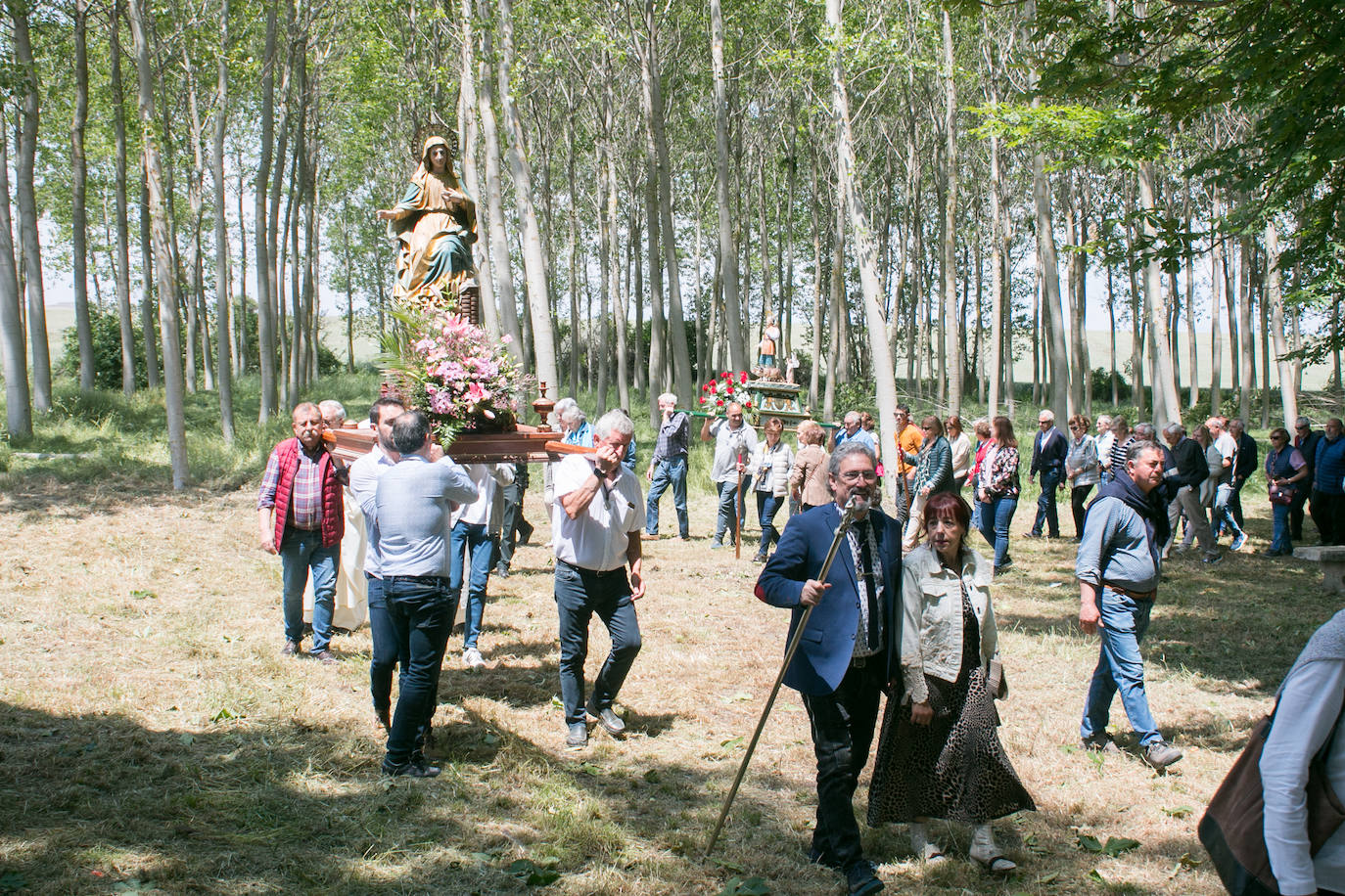 Romería a la ermita de Las Abejas