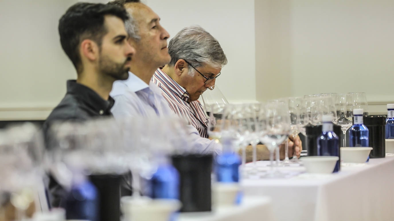 Las imágenes de la cata de Martínez Lacuesta